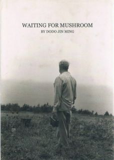 Waiting for Mushroom The Private Robert Frank and June Leaf