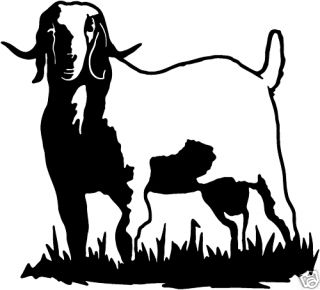 BOER Goat 3 Decals Farm Animal Window Stickers 6