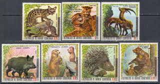 1989 Fauna Animals Mammals Wild Cats Bears 1976 Guinea EQ 7V Set MNH 