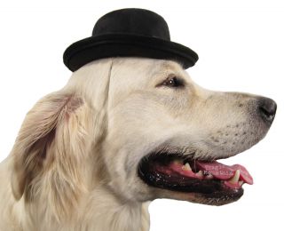 Small Bowler Costume Hat Blocked Pet Dog Elastic Strap Western Kids 
