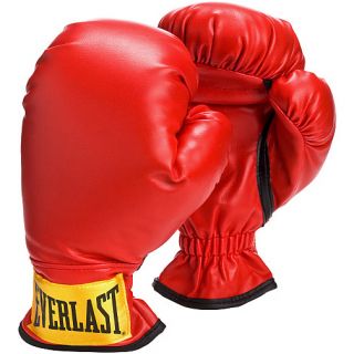  Everlast Youth Boxing Gloves