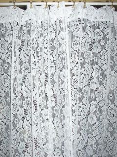   CHIC FRENCH DOOR COUNTRY NET FLORAL LACE DRAPES CURTAINS PAIR
