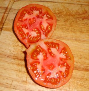   Heirloom Tomato Seeds ✽ BOXCAR WILLIE ✽ Organic ✽FREE ship deal
