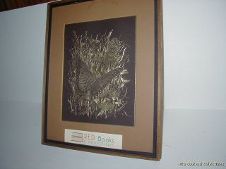   Butterfly Etching on Foil Paul M Breeden Natural History Illus