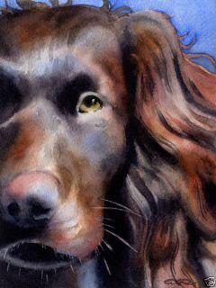 Boykin Spaniel Watercolor Dog Art Note Cards by DJR