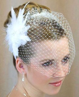 White Wedding Birdcage Bridal Veil Flower Feather Fascinator French 