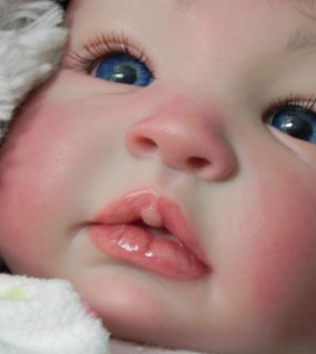 Reborn Baby Girl Shyann Sculpt by Aliena Peterson Now Know as Lacey NR 