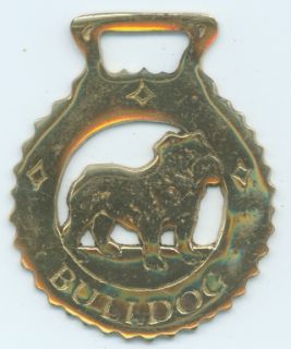 bulldog horse brass