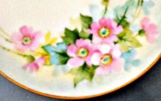 Nippon Studio Hand Painted Small Plate Pink Wild Roses Brauer