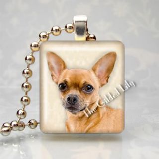 Chihuahua Dog Breed Pet Puppy Scrabble Tile Altered Art Pendant 