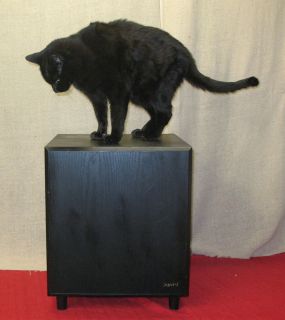  Advent ASW 1200 12" Powered Subwoofer