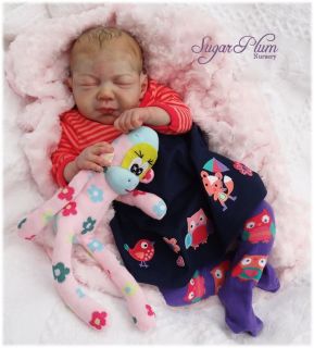 Brand New in Stock Baby Soft Brianna Donnelly Reborn Doll Kit Phil 