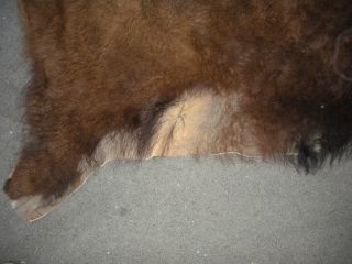 Huge Buffalo Robe Rug Hide Pelt Fur American Bison