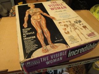 The Visible Woman 1960s Vtg Renwal Plastic Model Kit 804498 as Is 