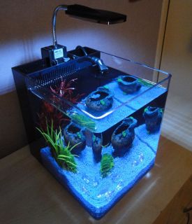 Acrylic Nano Cube Aquarium Tropical / Coldwater Fish Tank 10 ltr 32 