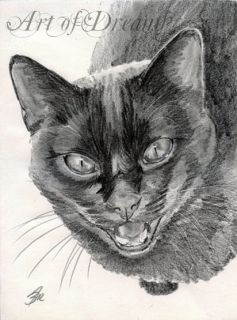 Black Cat Katze Kitten Kitty Chat Gato Feline Kater Kätzchen Drawing 