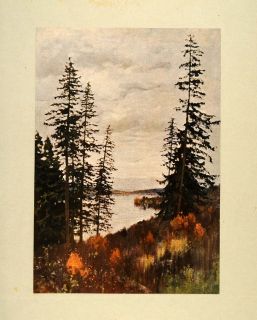 1905 Print Paysage Du Nord Levitan Tree North Landscape   ORIGINAL