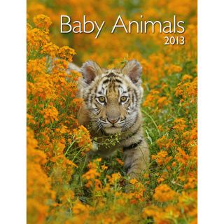 Baby Animals 2013 Softcover Engagement Calendar