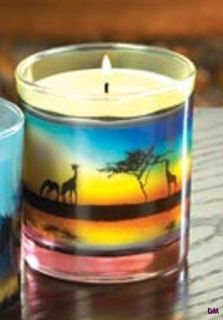   African Sunset Jar Candle Bamboo and Hyacinth Fragrance Burns 35 Hours