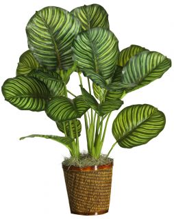 31 Calathea Silk Palm Floor Plant Real Touch New