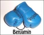 Baby Blue Mini Boxing Gloves Printed with Boys Names
