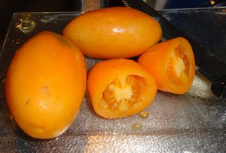 SALE ~ 25 Seeds ~ ORANGE BANANA ~ Organic Heirloom Tomato