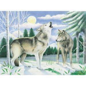 Watercolor Pencil by Number Kit  12 x 16   Wolves