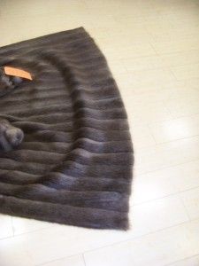 FUR; NATURAL CANADIAN BLONDE BEAVER COAT WING COLLAR BAND CUFF ON 
