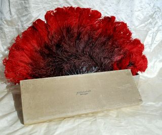 1900 Extravagant Red Ostrich Feather Fan w Natural Shell Sticks in Box 