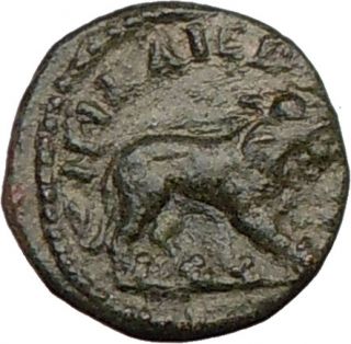 Caracalla 198AD RARE Ancient Roman Coin Nemean Lion