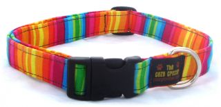 Rainbow Stripe Custom Colorful Trendy Dog Cat Collar