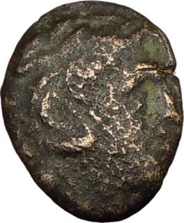 Cassander 319BC Macedonian King RARE Authentic Ancient Greek Coin 