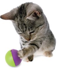 Go Cat Go Play N Treat Ball Treat Dispenser Pet Cat Kitten Toy Food 