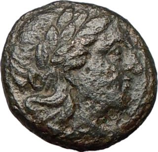 Cassander 319BC Macedonian King Authentic Ancient Greek Coin RARE 