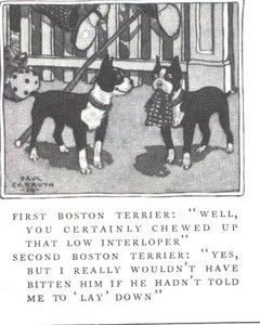 1928 C LG Illustration Cartoon Boston Terriers Carruth