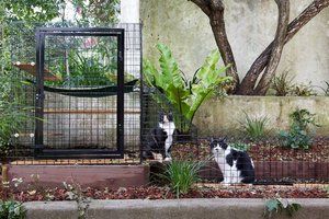 Catbitats Safe Outdoor Enclosures for Your Inside Cat I E CatioS 