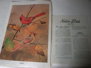 Lot 8 Native Birds 1968 Charles Chuck Ripper Lithograph Art Eagle 