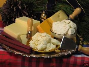 Best of 2009 Cheese Sampler Cheddar Curds Swiss Mozz