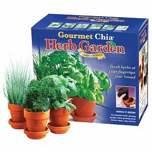 As Seen on TV Chia Herb Garden Gourmet China Chefs Favorite 