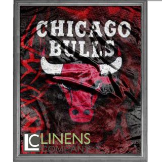 NBA Licensed Chicago Bulls Royal Plush Raschel Throw Blanket Twin Size 