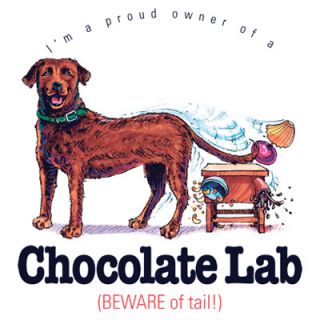 Funny Dog Tshirt Chocolate Lab Beware Of Tail Puppy Pet Paw Canine 