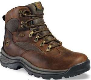 Timberland Mens Chocorua GTX Hiking Boots Brown 15130