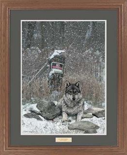 David_Wensel_Framed_print_No_Tresspassing Wolf