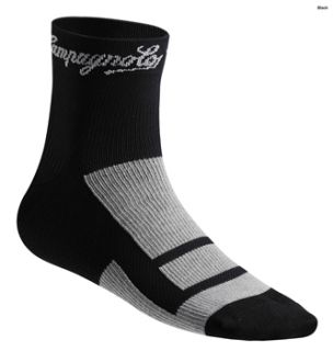 Campagnolo MSS Unisex Socks