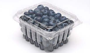 Lot of 20 Cases 9 600 Clear Clamshell Food Cup Cake Plastic Blueberry