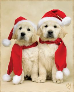   Fleece Throw Blanket 48 X60 Puppy Dog Santa Claus Christmas Puppies