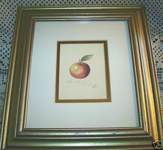 Sandy Lynam Clough Print Golden Apple Wood Framed Art
