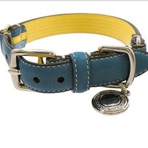 Beautiful Coach Blue Yellow 3 Stripe Dog Collar M