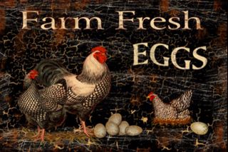 Black Farm Fresh Egg Metal Sign Country Primitive Farm Barn Kitchen