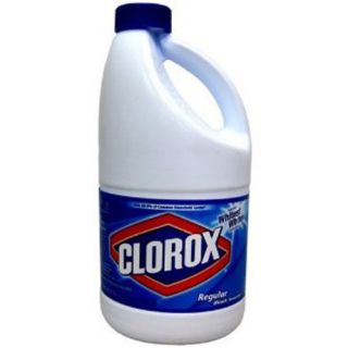 clorox bleach safe can
